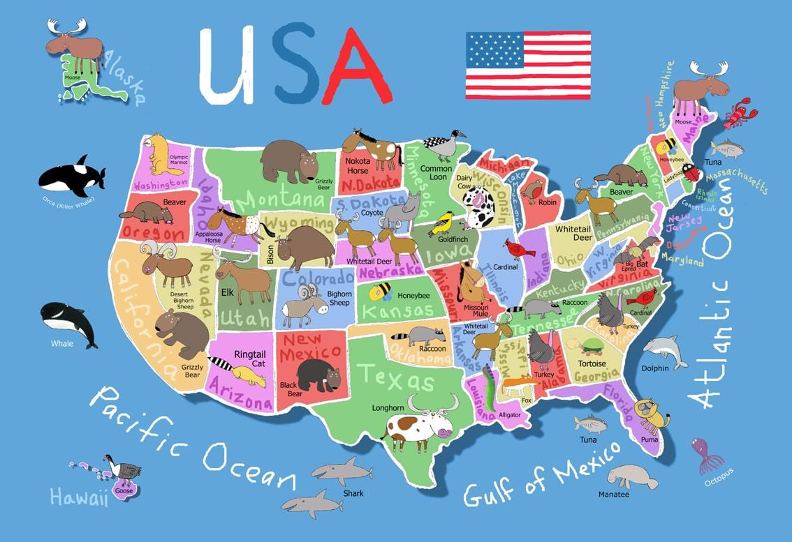 карта США для детей