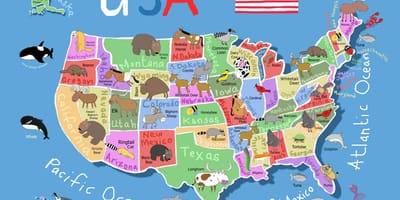 Карта США для детей
